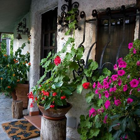 Case Vacanza La Ventura Massarosa Exterior photo