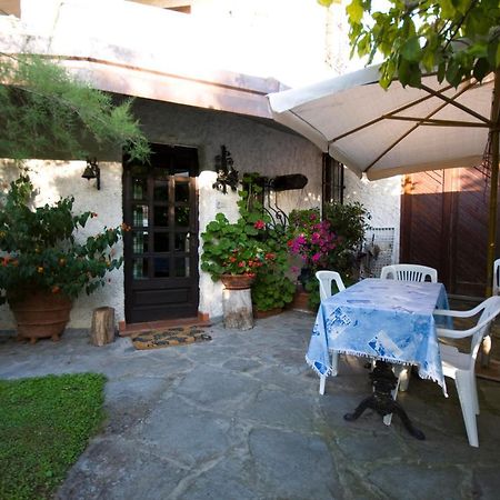 Case Vacanza La Ventura Massarosa Exterior photo