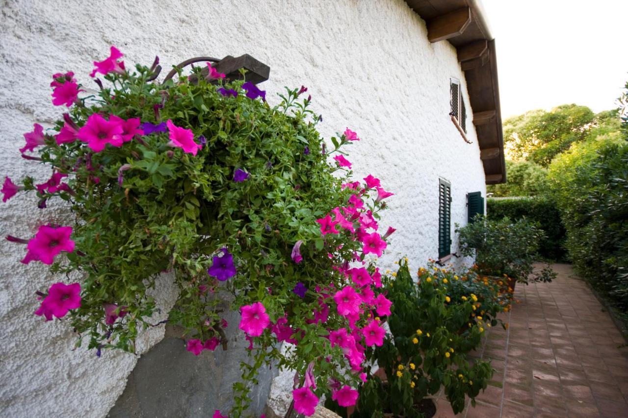 Case Vacanza La Ventura Massarosa Exterior photo